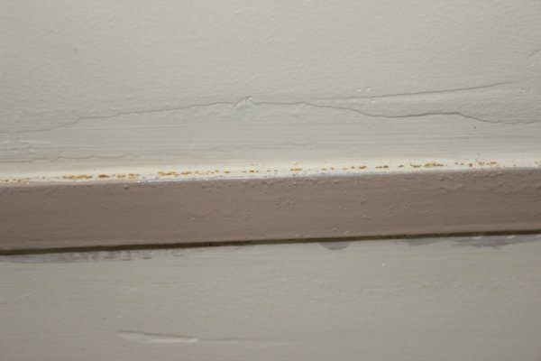 У мерії Луцька пояснили, чим скомпрометував себе учасник тендеру на реконструкцію зоокуточка